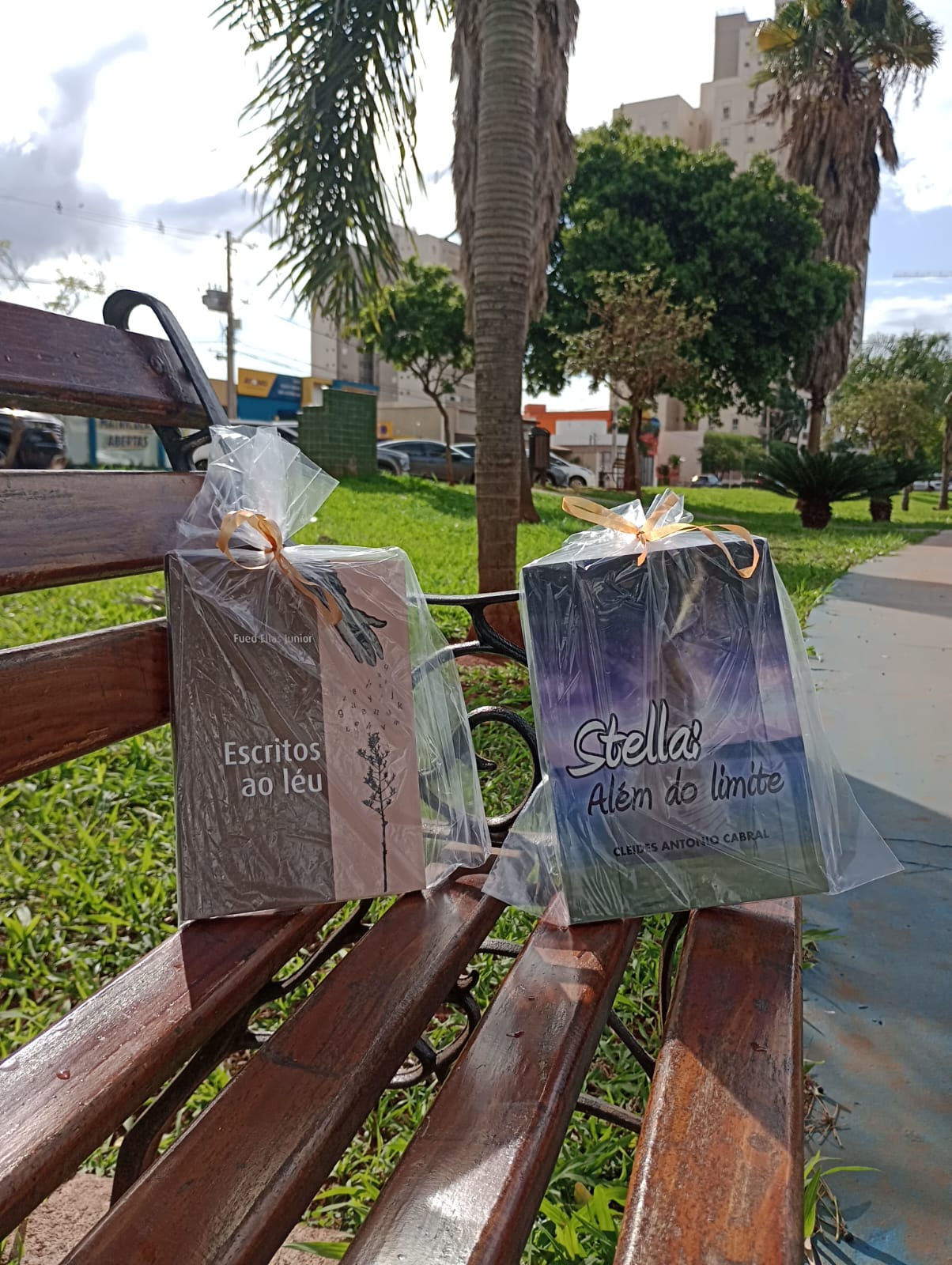 Projeto “Livro no Banco da Praça” leva cultura ao Parque Espelho d’Água