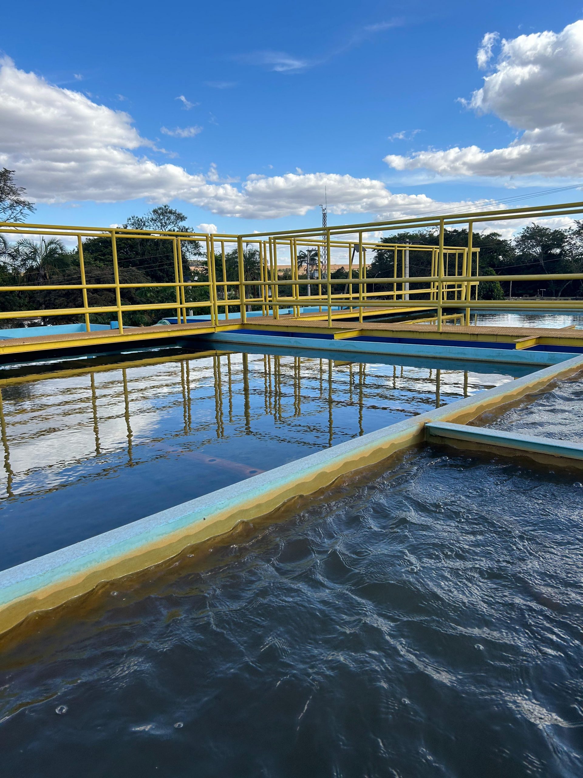 Rio Verde: A Força do Trabalho que Transformou a Cidade em Referência Nacional